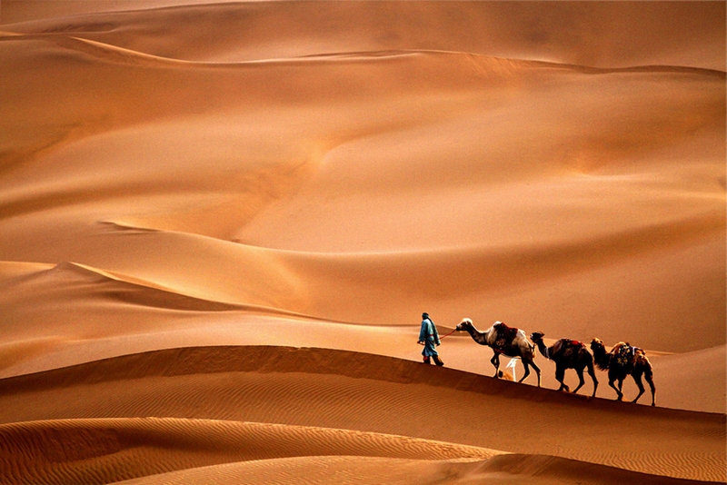 589 - ARDUOUS TREK - XU DANGHUA - china.jpg